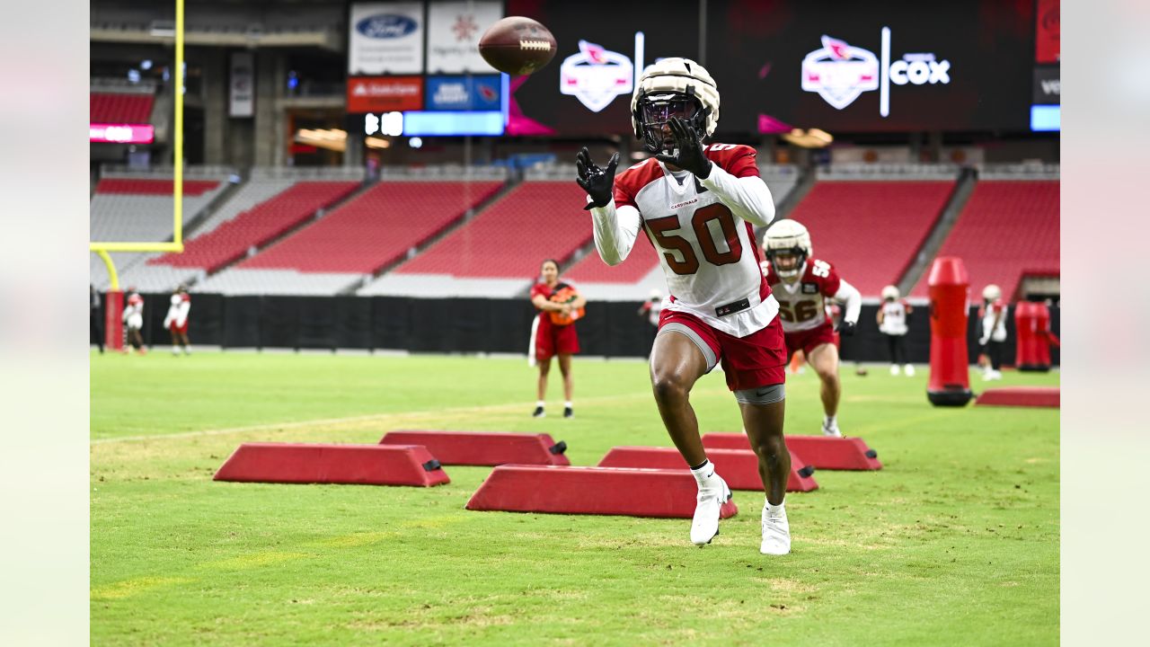 Low-key Cardinals wide receiver Marquise Brown embraces Hollywood nickname  and what it really means