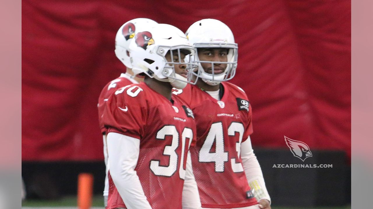 Deone Bucannon, Haason Reddick Ready For Nickel Linebacker Challenge