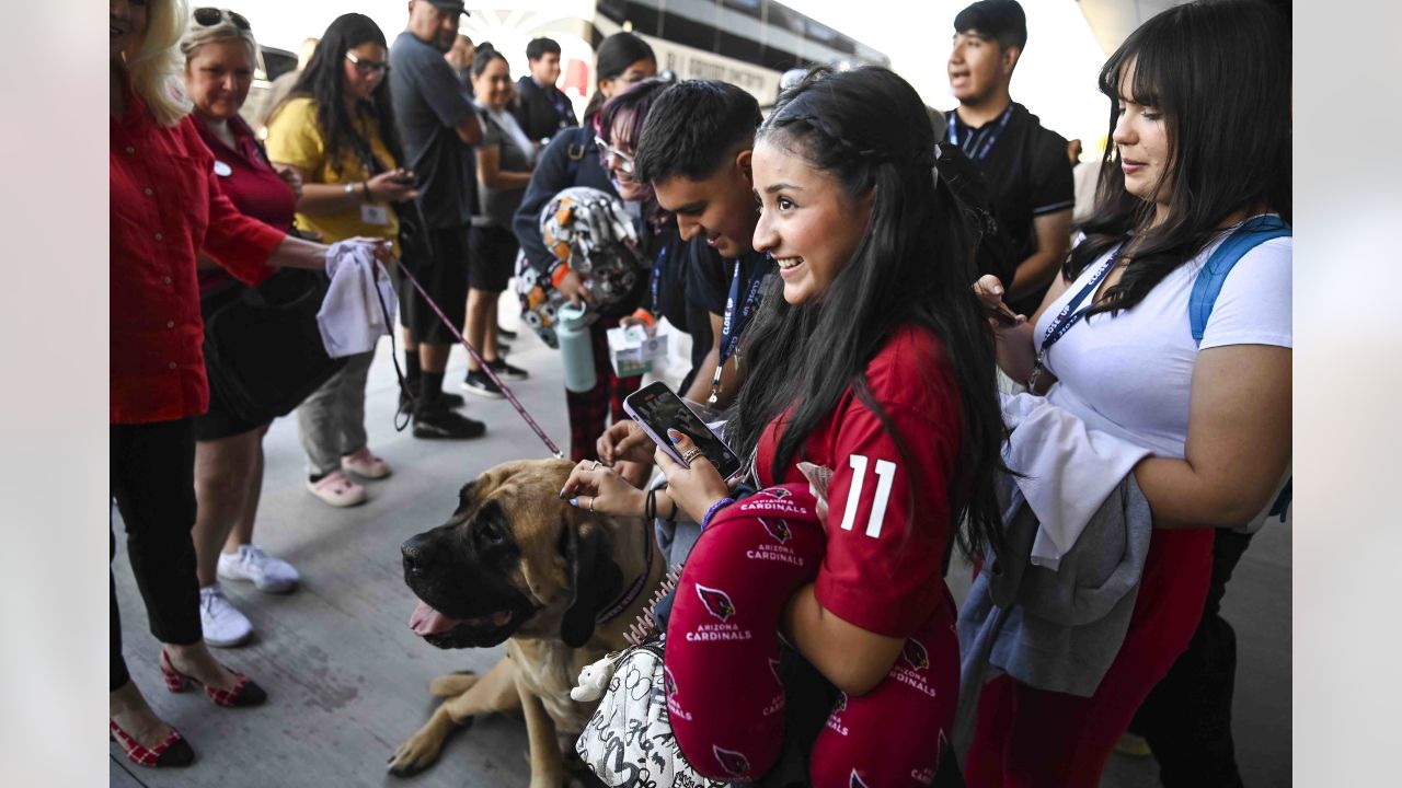 Cardinals Caravan' traveling to six Arizona cities for fan meet and greets