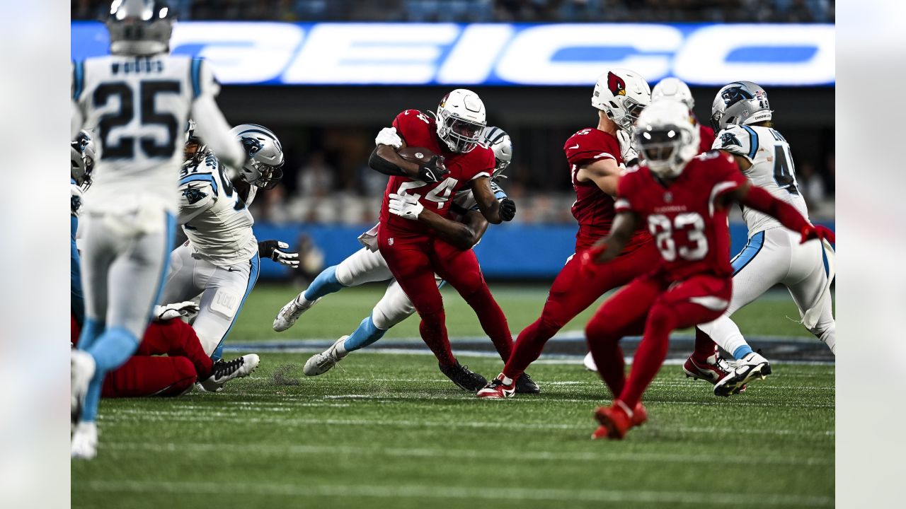 Arizona Cardinals linebacker Victor Dimukeje runs upfield against the  Carolina Panthers during an NFL football game in Charlotte, N.C., Sunday,  Oct. 2, 2022. (AP Photo/Nell Redmond Stock Photo - Alamy