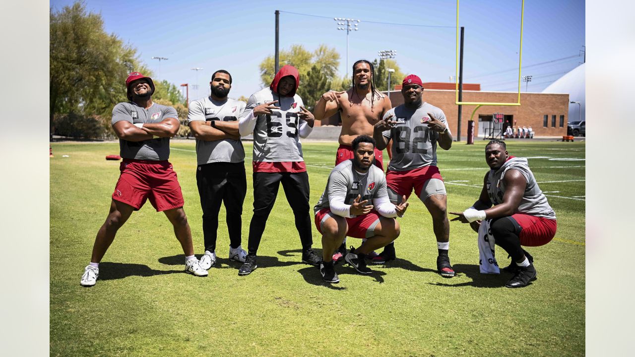 Arizona Cardinals defensive end Jonathan Ledbetter (93) during an