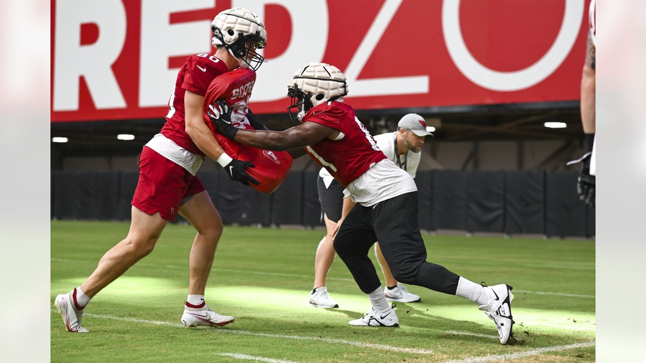 Cardinals News: Bye week get away, Hollywood Brown has no pitch count -  Revenge of the Birds