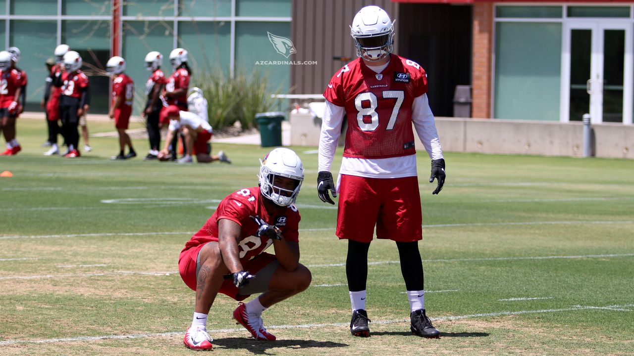 Larry Fitzgerald Praises New Arizona Cardinals Regime - Sports Illustrated  Arizona Cardinals News, Analysis and More