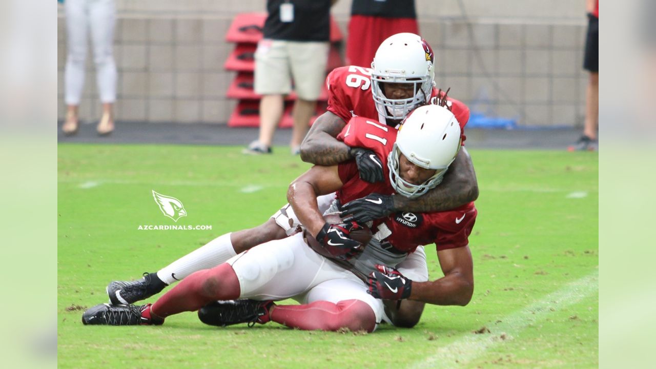 Arizona Cardinals training camp profile: Tackle Givens Price