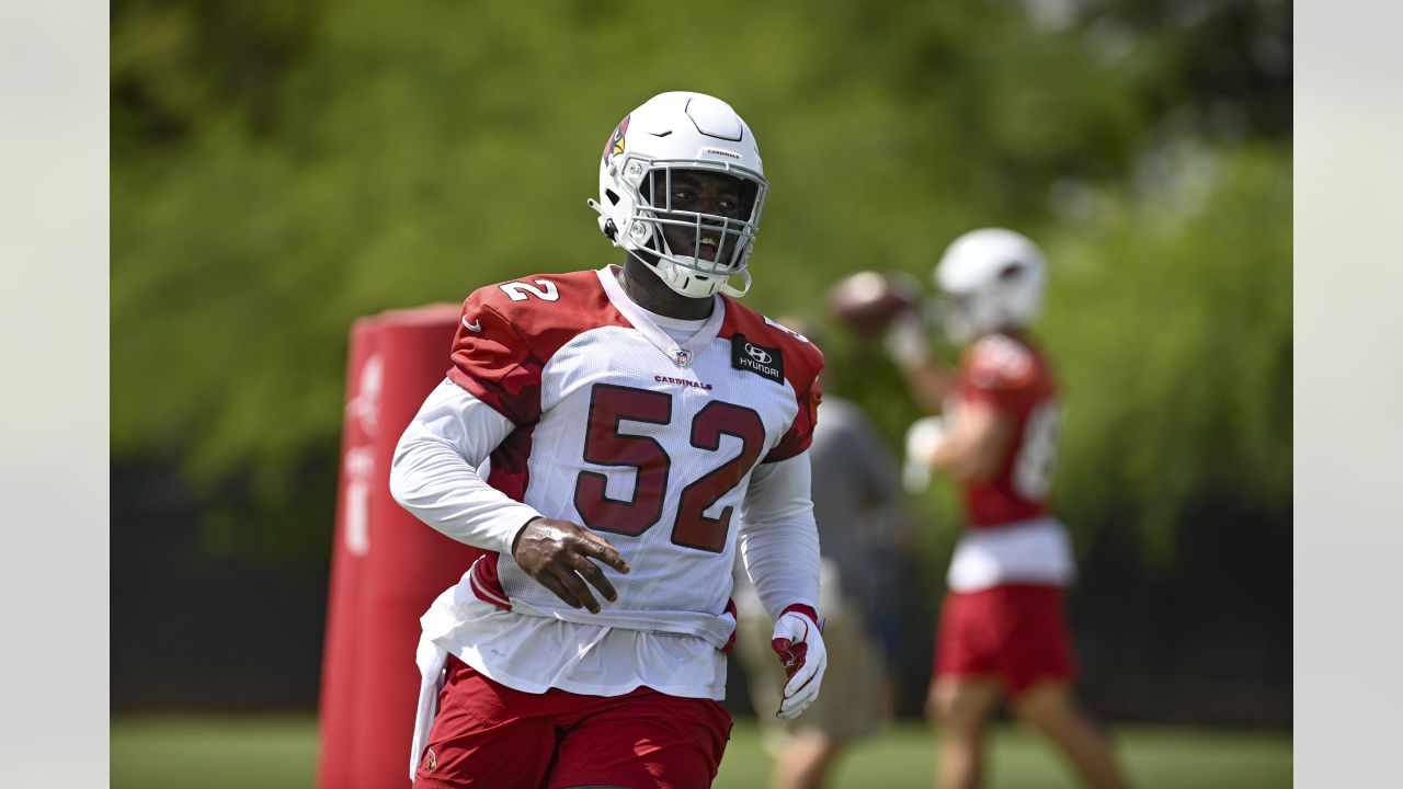 Cardinals Position Overview: Linebackers