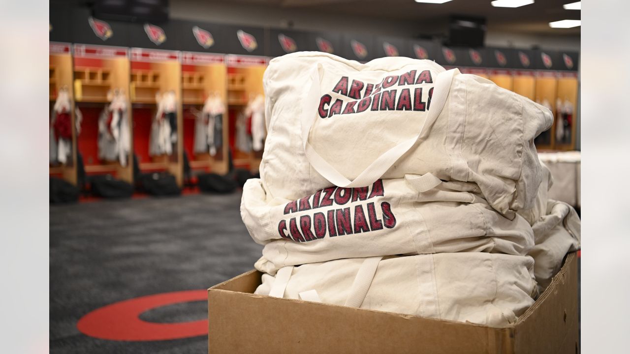 Cardinals report to Glendale, will host 1st public camp session