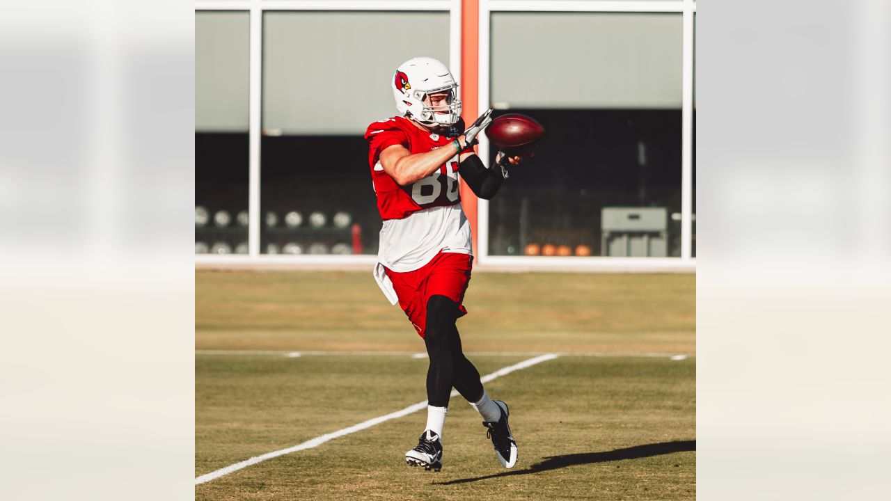 Zach Ertz quickly immersing himself in all things Arizona Cardinals