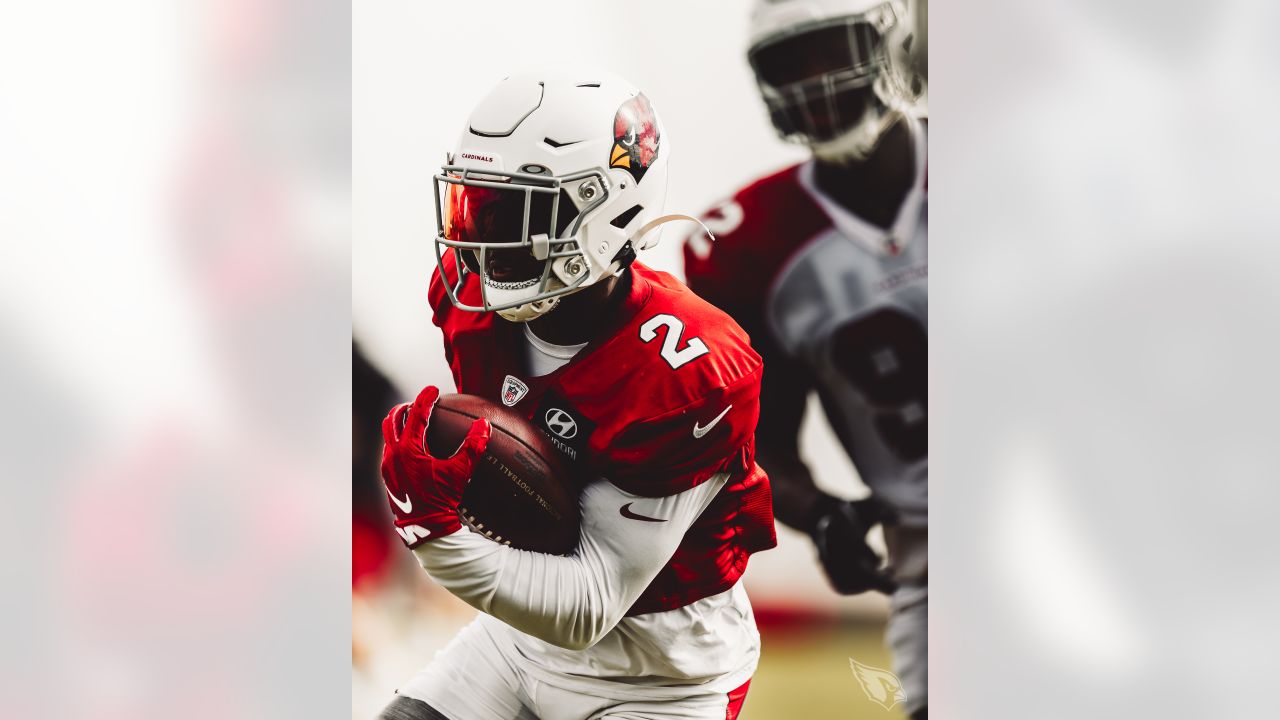 Initial Roster Set As Cardinals Cut Down For Season