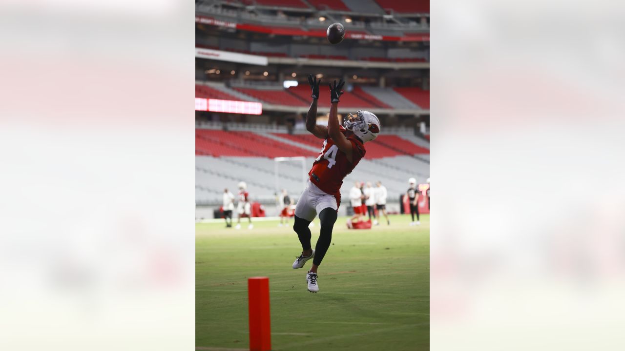 Arizona Cardinals cornerback Jace Whittaker in action during the game  News Photo - Getty Images