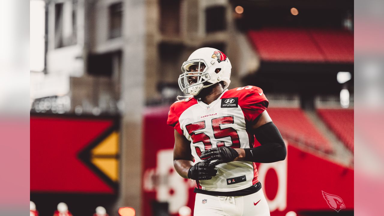 Catching Up with Arizona Cardinals Running Back Chase Edmonds Ahead of an  Uncertain NFL Season