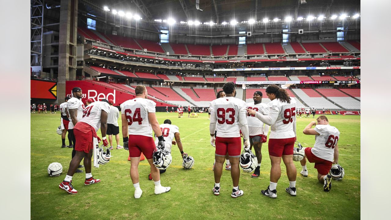 Arizona Cardinals defensive tackle Leki Fotu (95) looks up at a