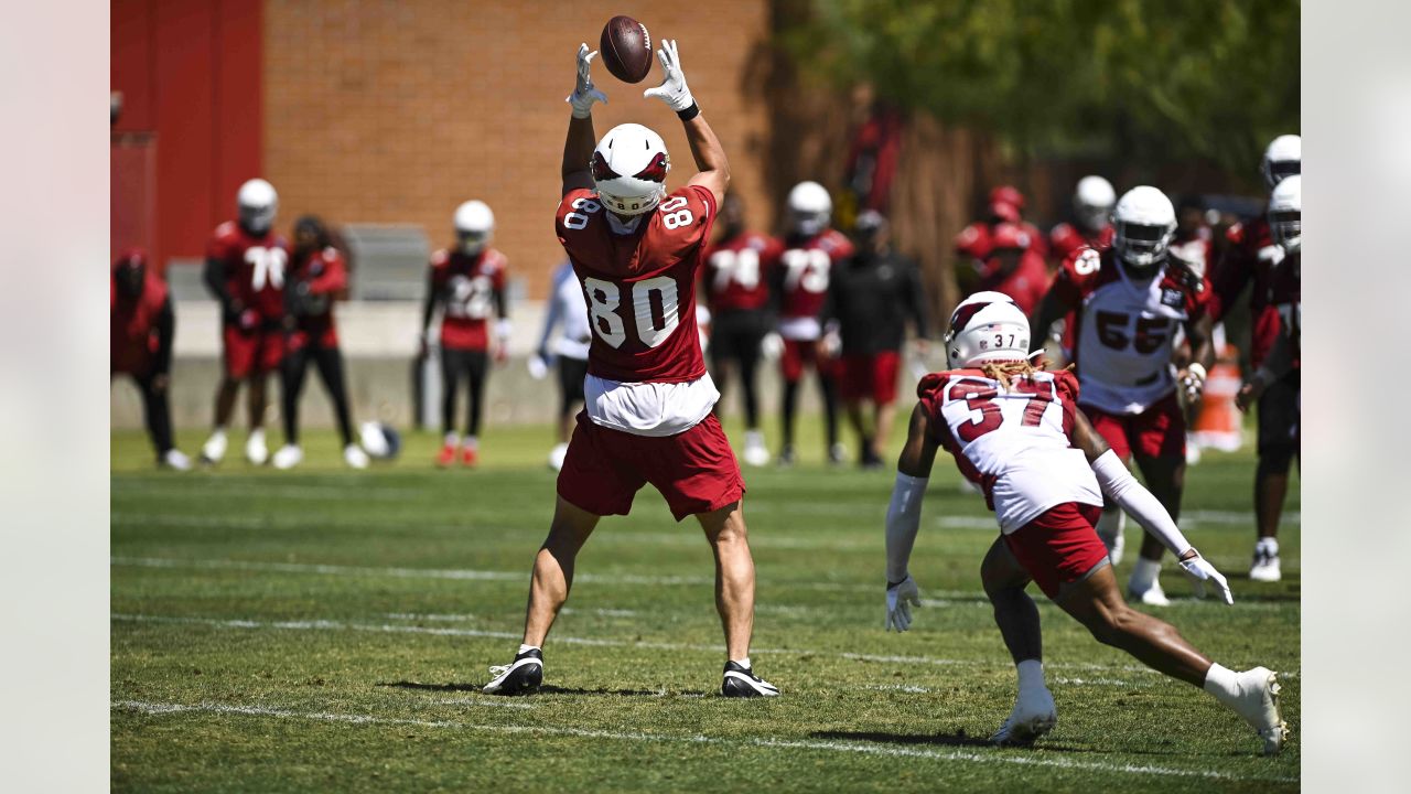 2023 NFL Team Offseason Roundup: Arizona Cardinals