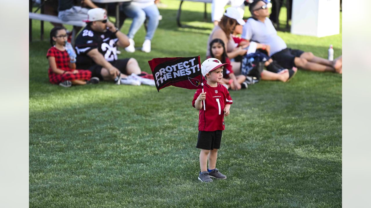 Cardinals Draft Party Back On Great Lawn April 27