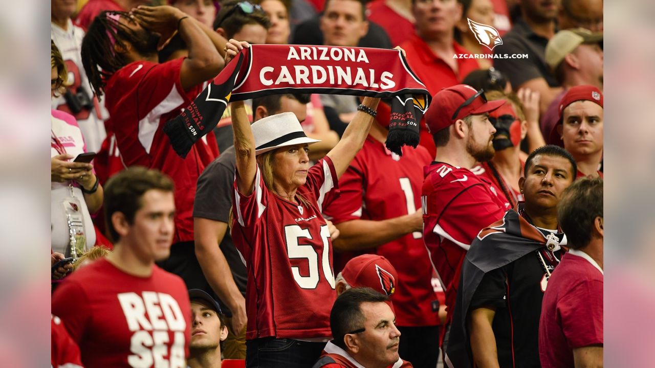 Carolina Panthers vs. Arizona Cardinals . Fans support on NFL Game.  Silhouette of supporters, big screen with two rivals in background Stock  Photo - Alamy