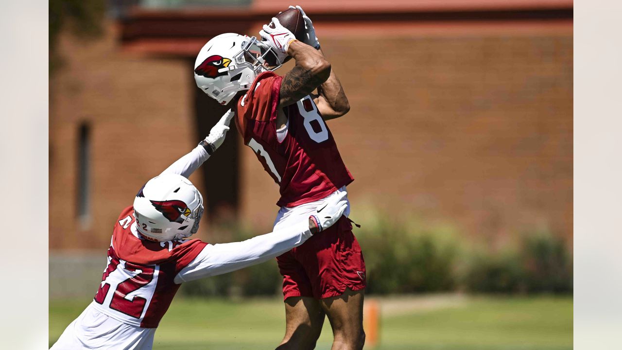 The Arizona Cardinals are gearing up for 2023 season - QueenCreekSunTimes. com