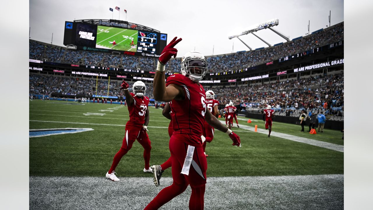 Carolina Panthers vs Arizona Cardinals final score