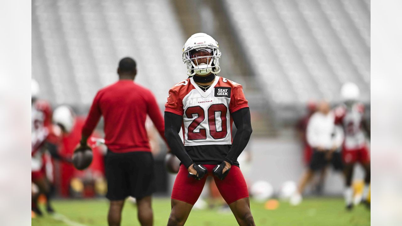 Arizona Cardinals training camp roster review: RB James Conner