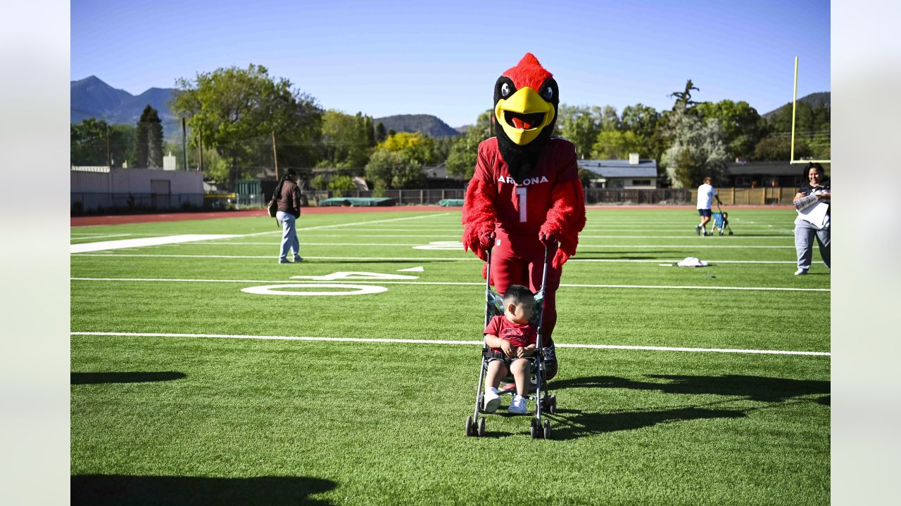 Cardinals Caravan' traveling to six Arizona cities for fan meet and greets