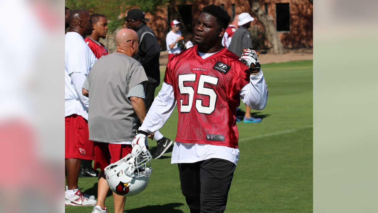 Arizona Cardinals offseason: Could Frostee Rucker get cut? - Revenge of the  Birds