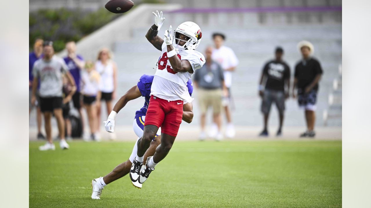 PHOTOS: Cardinals Training Camp - August 24