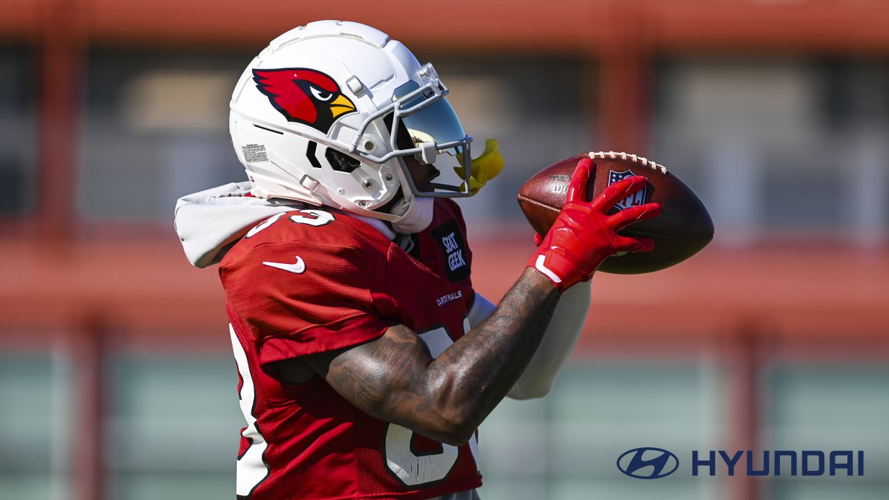 DENVER, CO - DECEMBER 18: Arizona Cardinals linebacker Myjai Sanders (41)  and safety Chris Banjo (31