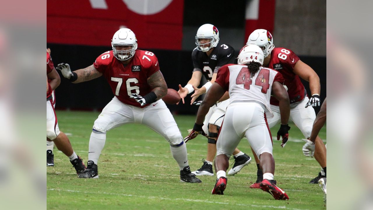 Arizona Cardinals release center Lyle Sendlein