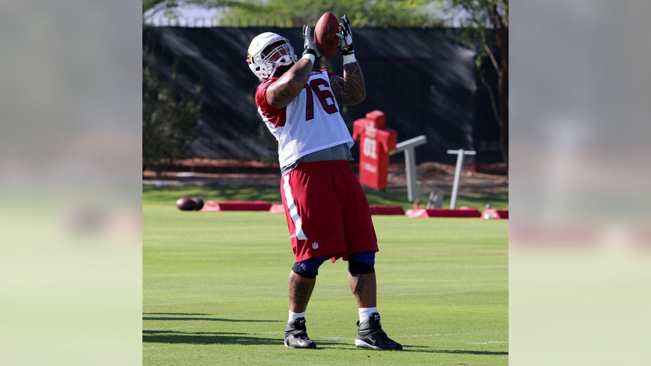 Cardinals' Andre Ellington, Mike Iupati progressing