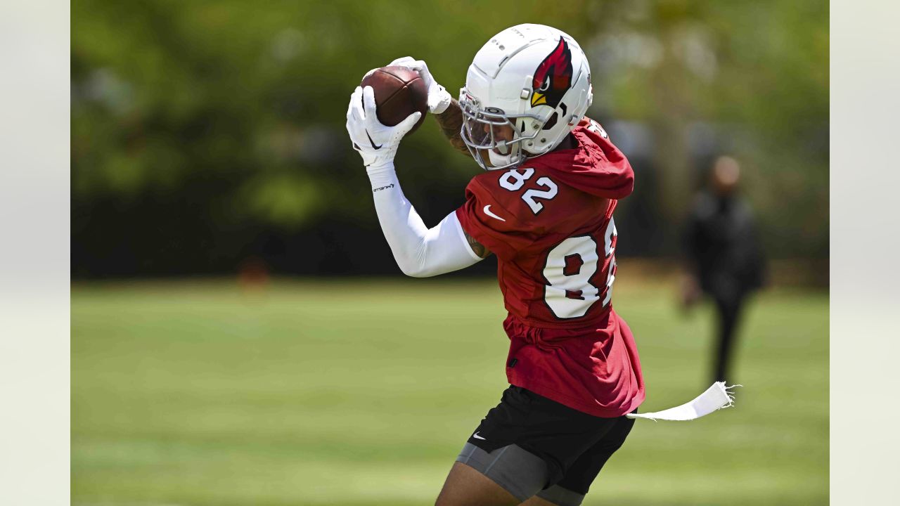 Arizona Cardinals safety Jalen Thompson's leaping PBU on wide