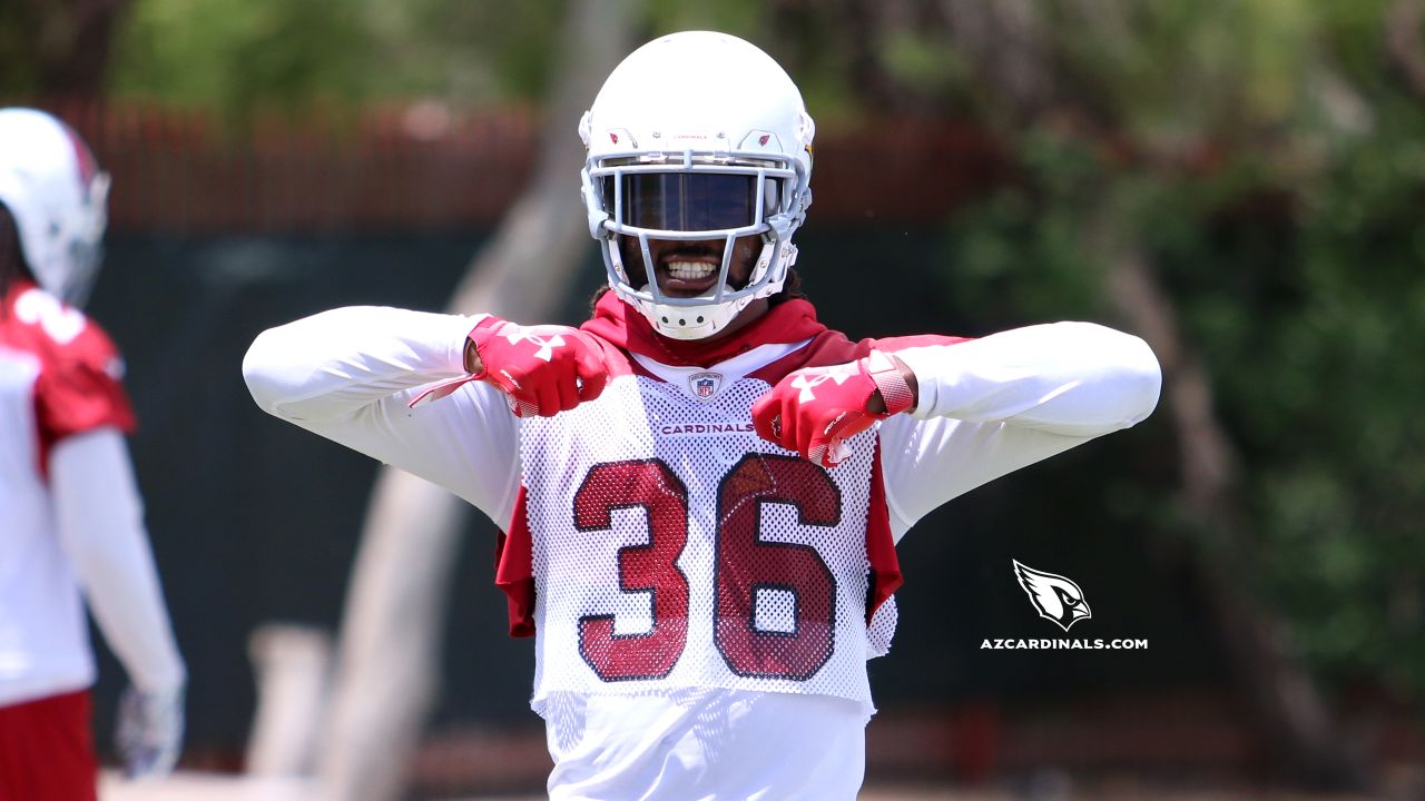 Former Cardinals Patrick Peterson, Jordan Hicks have last laugh in