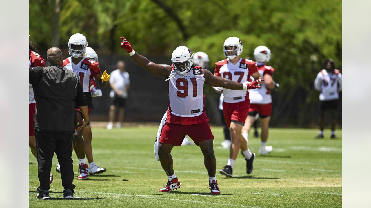 Arizona Cardinals safety Jalen Thompson's leaping PBU on wide