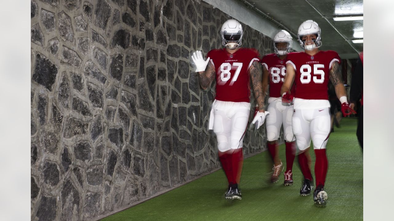 Arizona Cardinals fear TE Maxx Williams' injury is season-ending