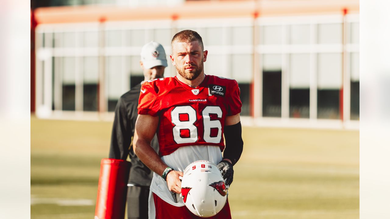 Cardinals Tight End Outlook: Zach Ertz is the NFL's top free agent tight end  of 2022 - Revenge of the Birds