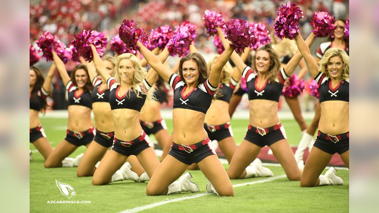 2,070 Arizona Cardinals Cheerleader Stock Photos, High-Res