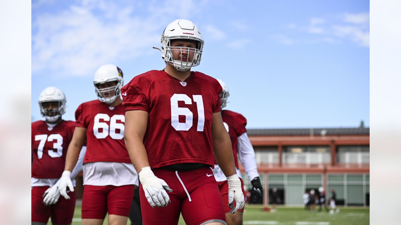 Arizona Cardinals defense not short on leaders, says Calais