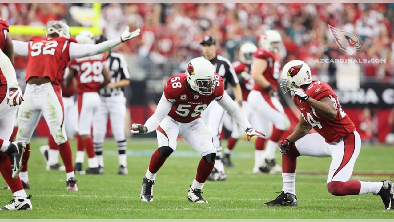 Bertrand Berry 2008 NFC Champions Arizona Cardinals 8X10 Photo |