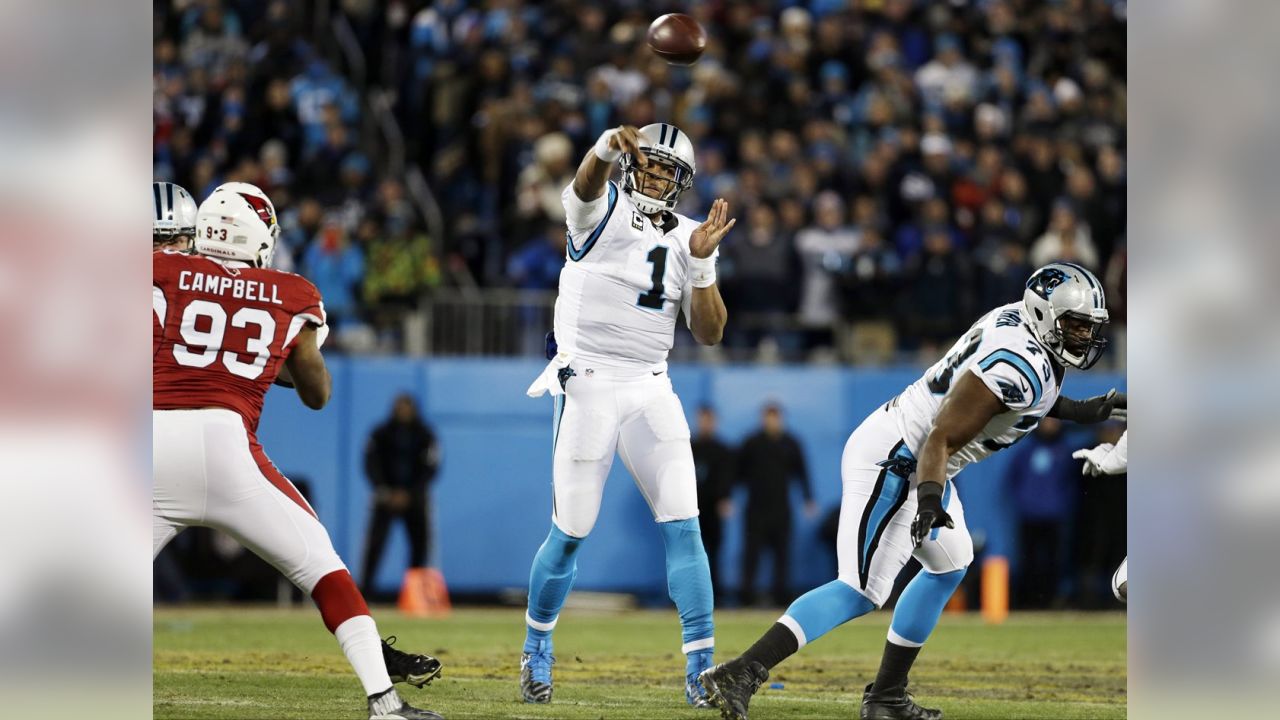 Cardinals vs. Panthers 2016 results: Carolina going to Super Bowl after  huge 49-15 win 