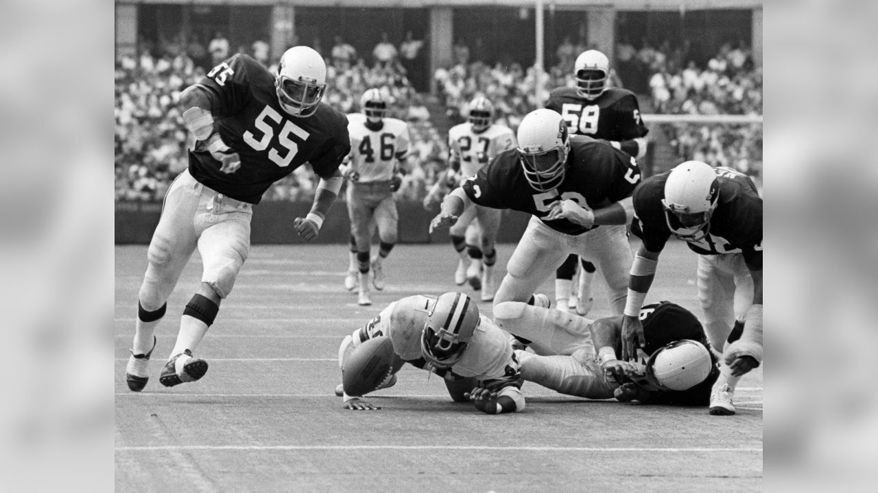 PACKERVILLE, U.S.A.: 1982 Playoff Win Over Cardinals