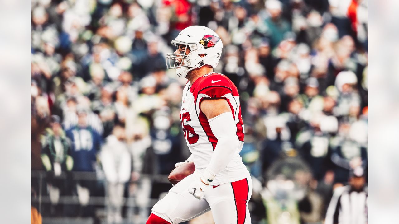 Arizona Cardinals quarterback Trace McSorley escapes pocket for 12-yard  dart to wide receiver Andy Isabella