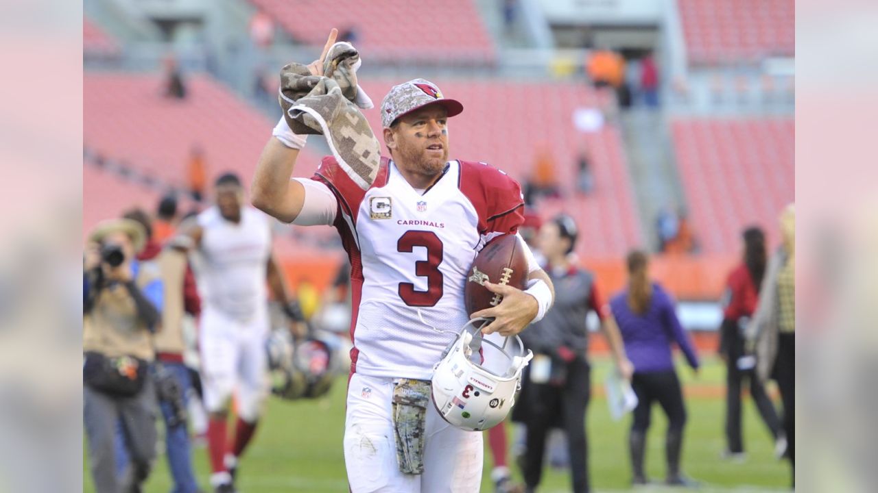 2,944 Carson Palmer Cardinals Stock Photos, High-Res Pictures, and