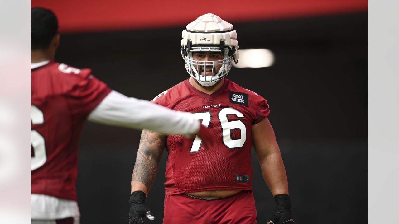 Arizona Cardinals' Maxx Williams runs drills during the teams' NFL football  training camp, Tuesday, July 30, 2019, in Glendale, Ariz. (AP Photo/Matt  York Stock Photo - Alamy