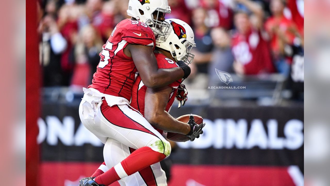 Tyrann Mathieu Injury: Cardinals lose safety for remainder of 2015 season -  Acme Packing Company