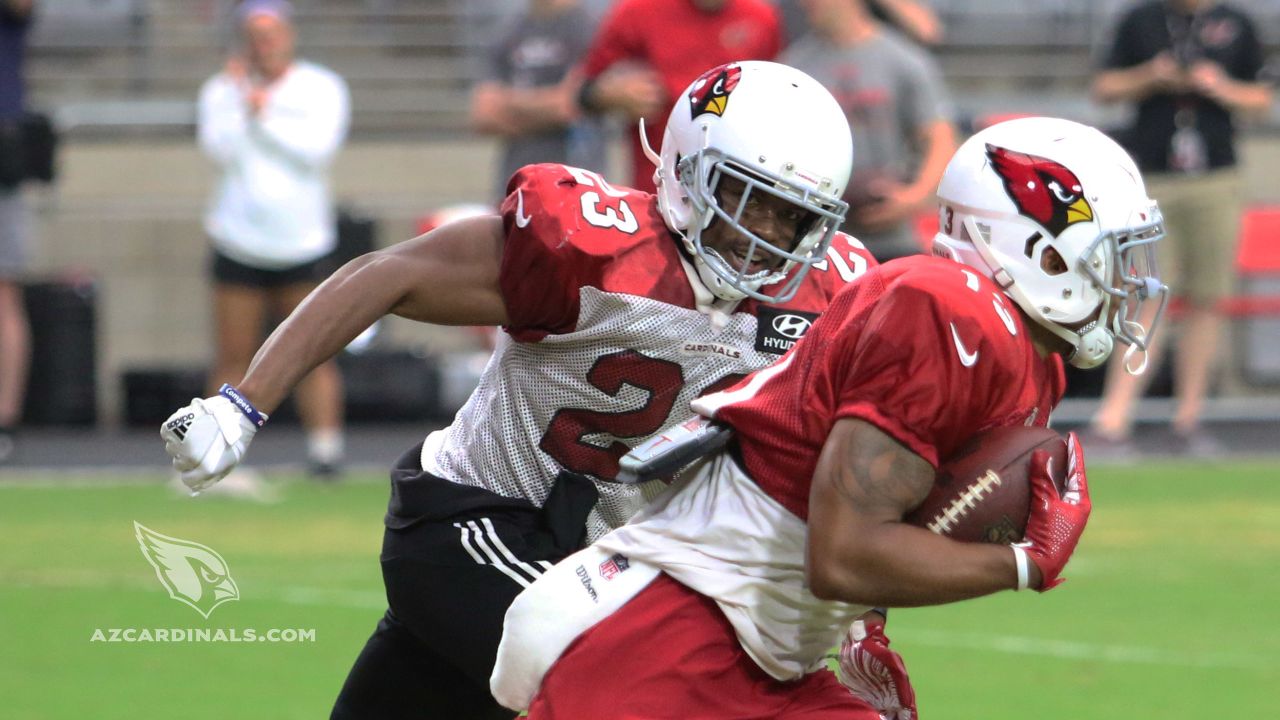 Cardinals cut wide receivers Greg Little, Brice Butler in cuts to 53 - NBC  Sports