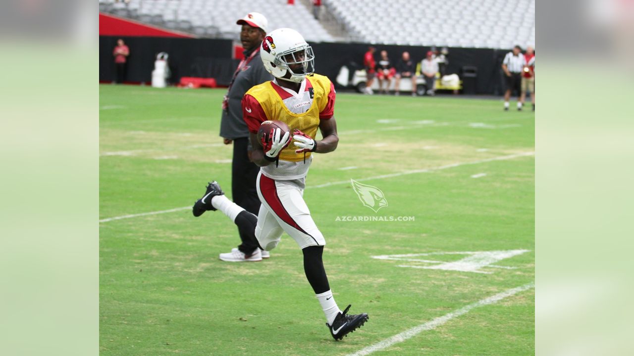 Darren Fells Sideline Worn & Signed Arizona Cardinals New Era