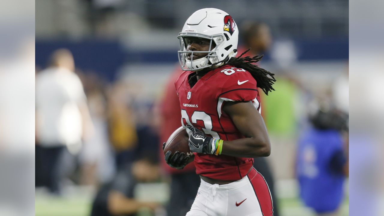 Chippy Arizona Cardinals Finish Preseason on a High Note - Sports