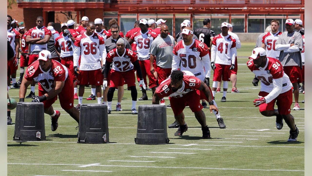 Arizona Cardinals' Frostee Rucker and two rookies seek to fill Darnell  Dockett's spot