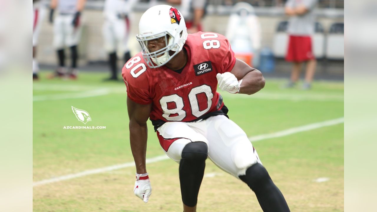 Byron Leftwich will call plays for Cardinals in preseason game vs. Raiders  