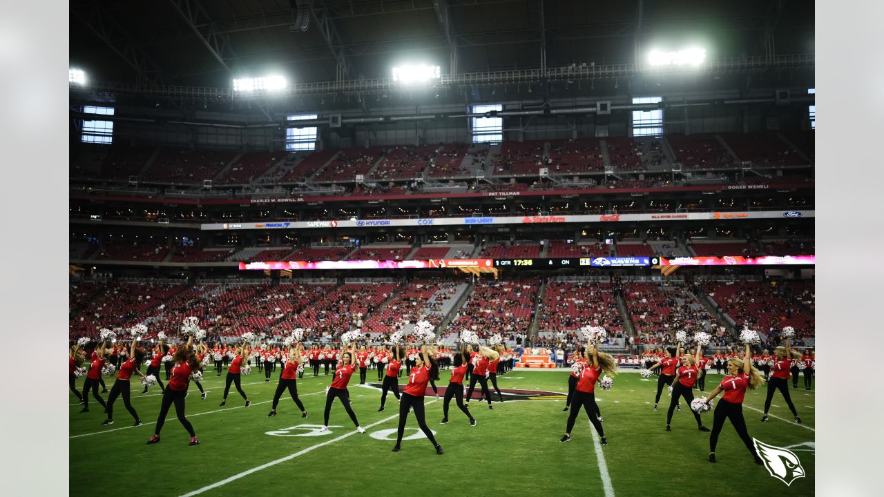 Section 141 at State Farm Stadium 