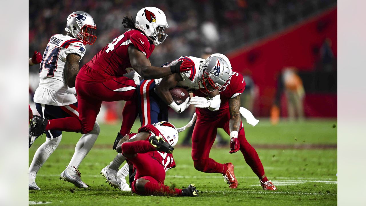 Cardinals in Focus: Week 14 vs. Patriots