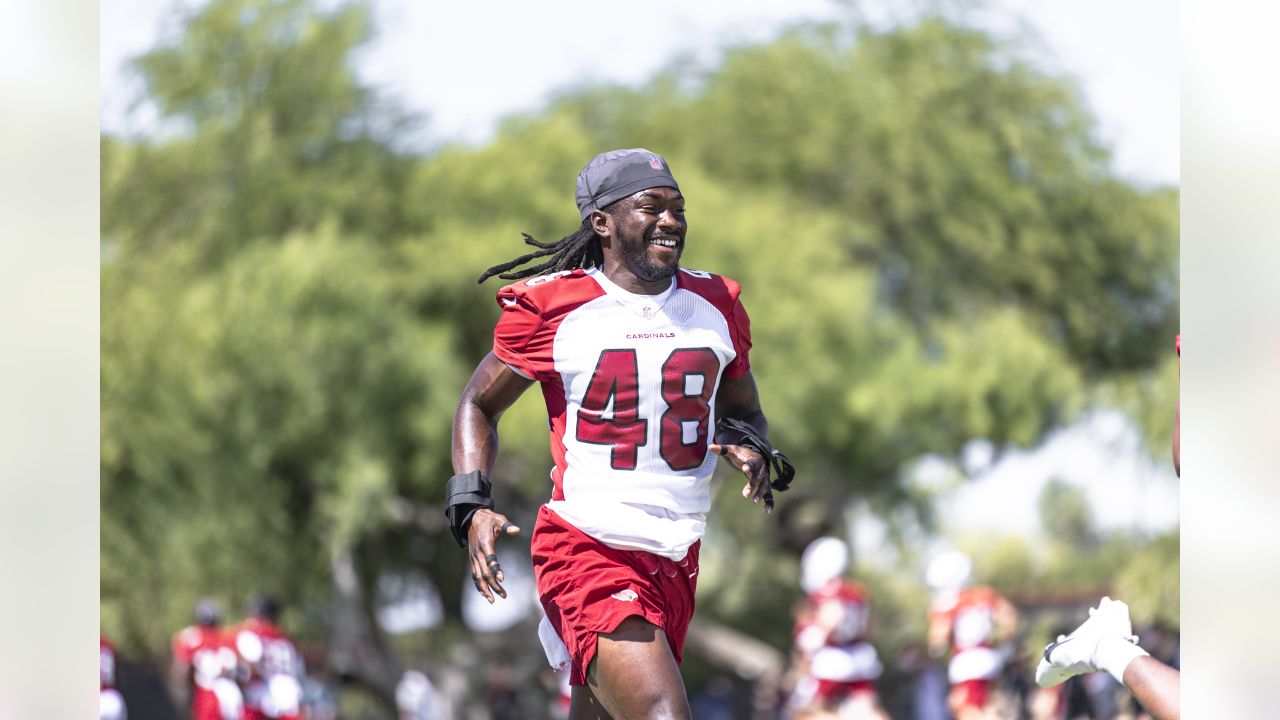 Arizona Cardinals safety Tae Daley (48) in action as the Arizona