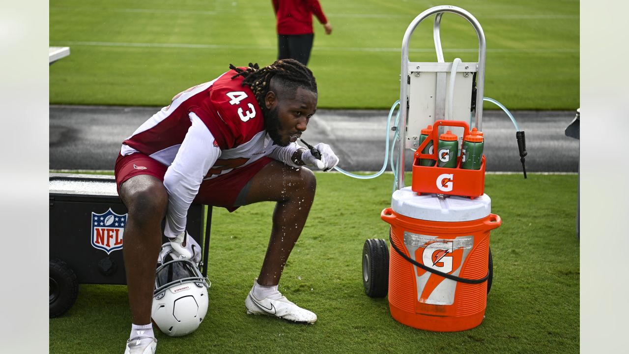 Arizona Cardinals get Byron Murphy Jr. and Marcon Wilson back at Thursday  practice - Revenge of the Birds